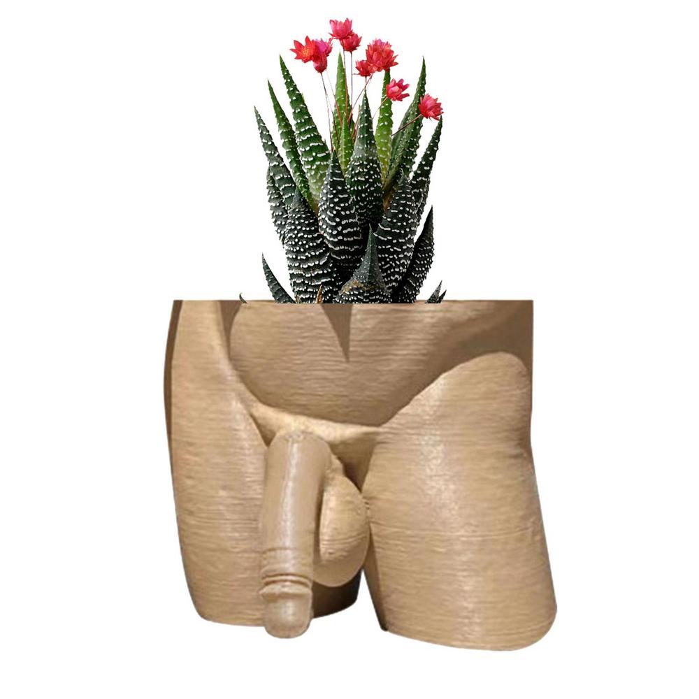 A quirky resin plant pot shaped like a naked man's butt, ideal for growing succulents or ferns, adding humor to home decor.