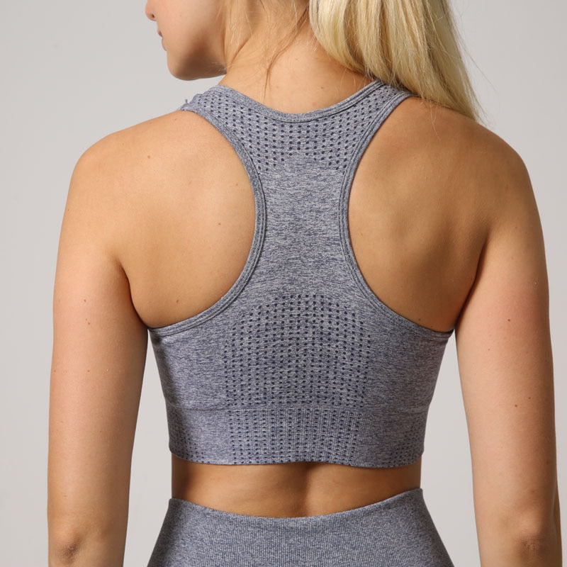 Seamless sports bra top for women in various colors, designed for high-impact workouts and comfort.