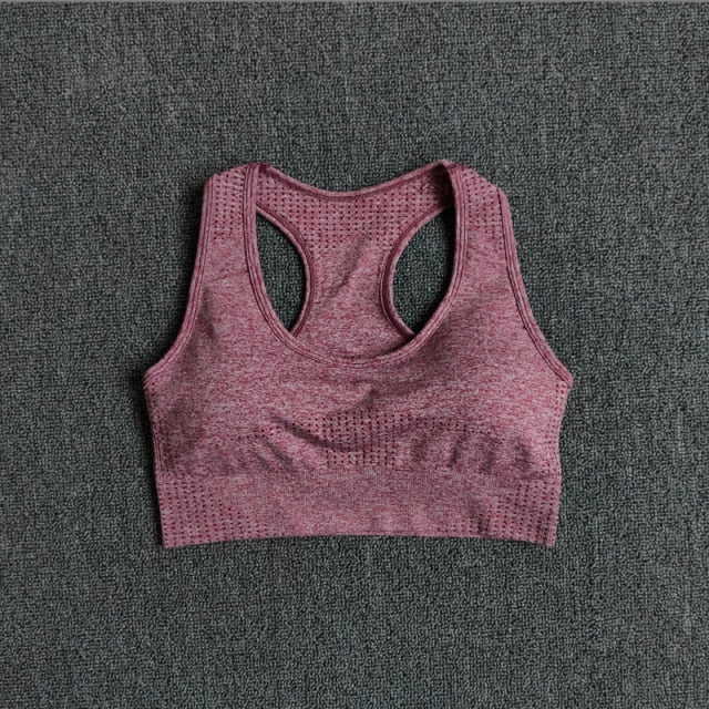 Seamless sports bra top for women in various colors, designed for high-impact workouts and comfort.