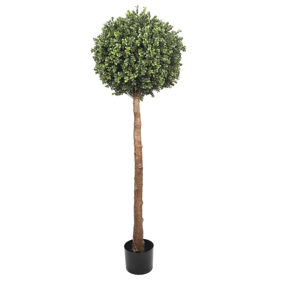 150cm tall single ball topiary faux tree with lush green boxwood foliage in a decorative pot, suitable for indoor and outdoor use.