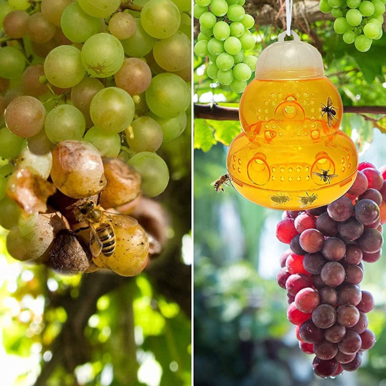 Two SK811 gourd-shaped fruit fly traps designed for capturing wasps and hornets, showcasing their watertight structure and attractive design.