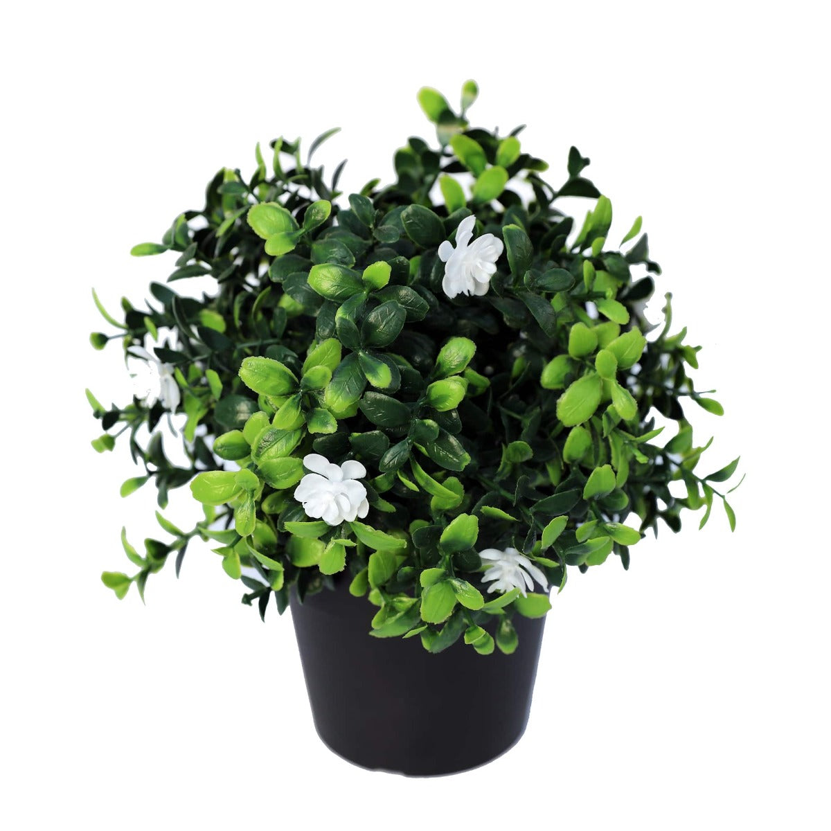 Small potted artificial flowering boxwood plant with white flowers, UV resistant, perfect for indoor and outdoor decor.