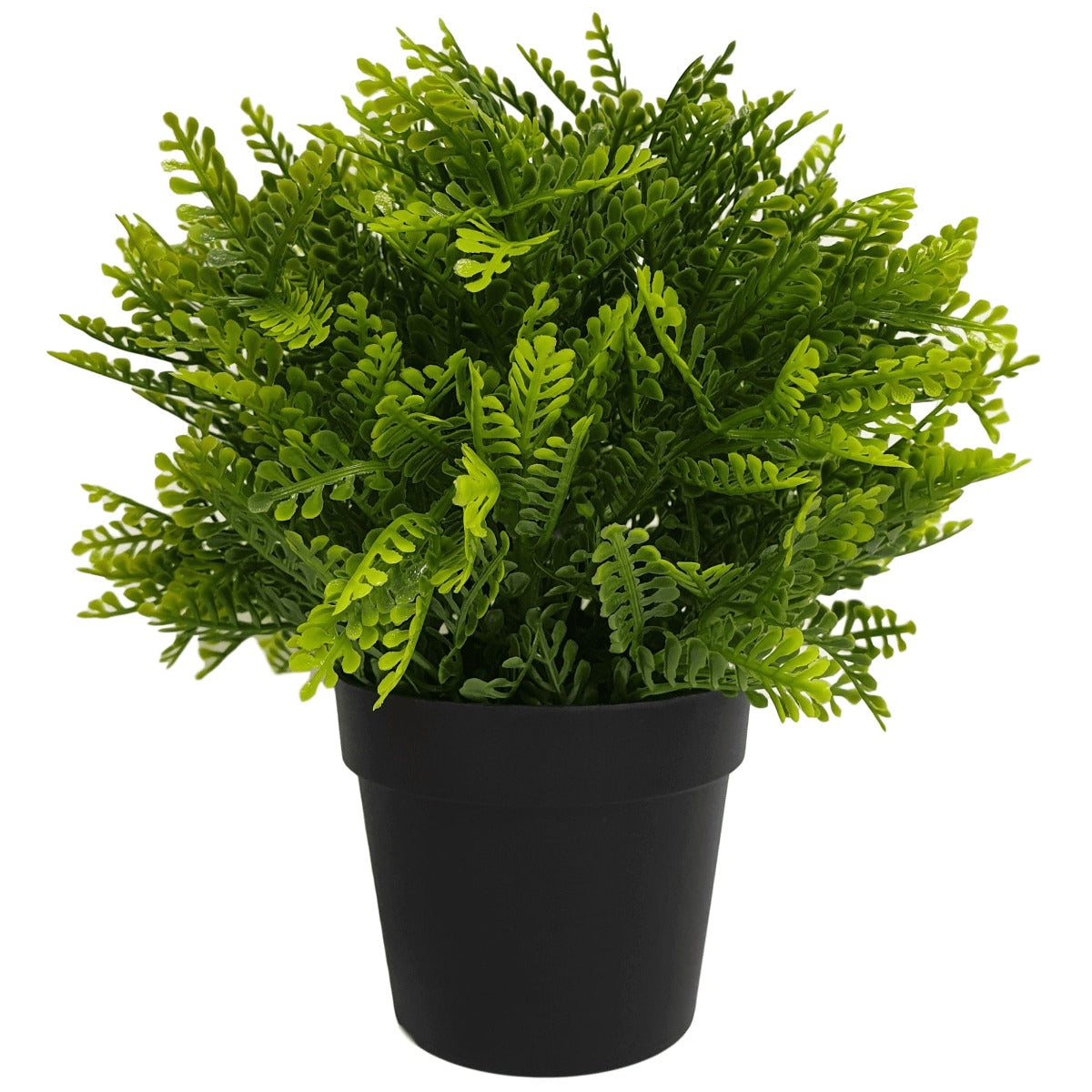 Small Potted Artificial Mimosa Fern, UV resistant, 20cm across, displayed in a stylish pot, perfect for indoor and outdoor decor.