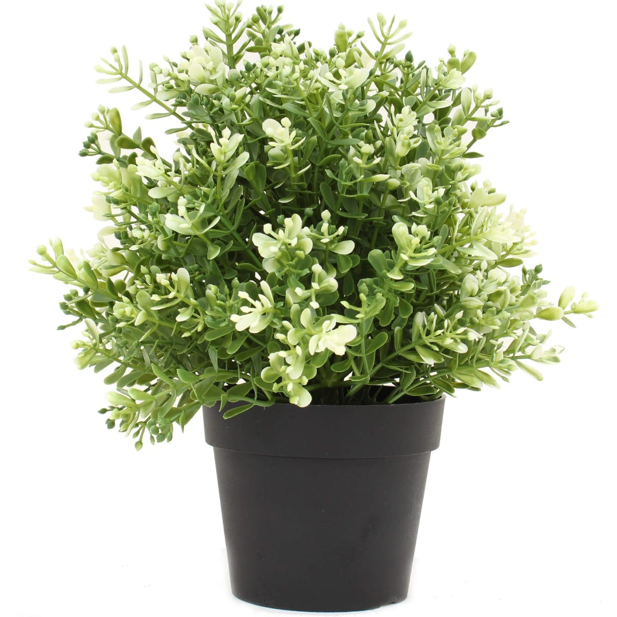 Small potted artificial white jade plant with realistic white and green leaves, perfect for indoor and outdoor decor.