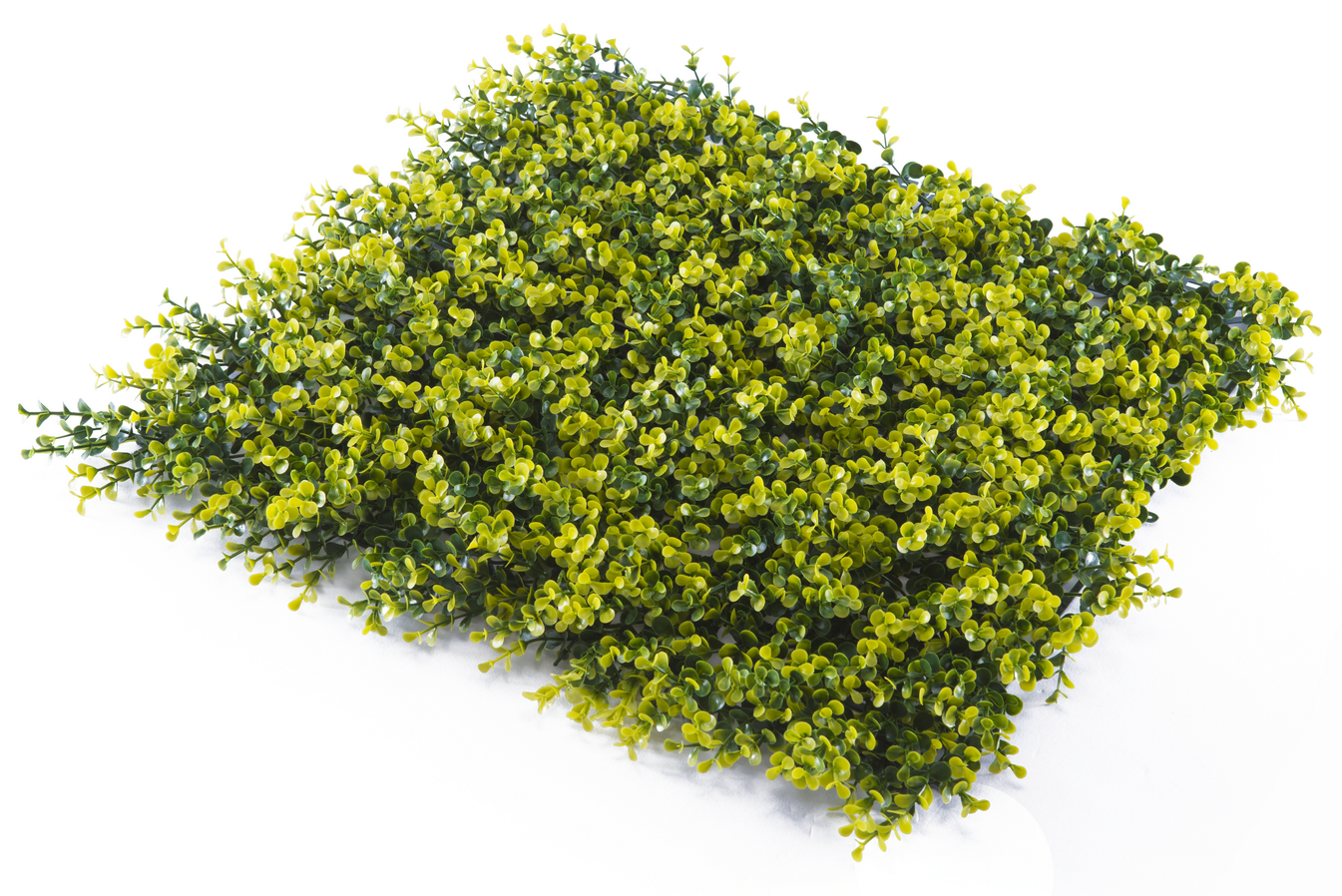 Super Clearance UV Yellow Buxus Mats, 1m x 1m, featuring realistic yellow-green foliage for indoor and outdoor decoration.