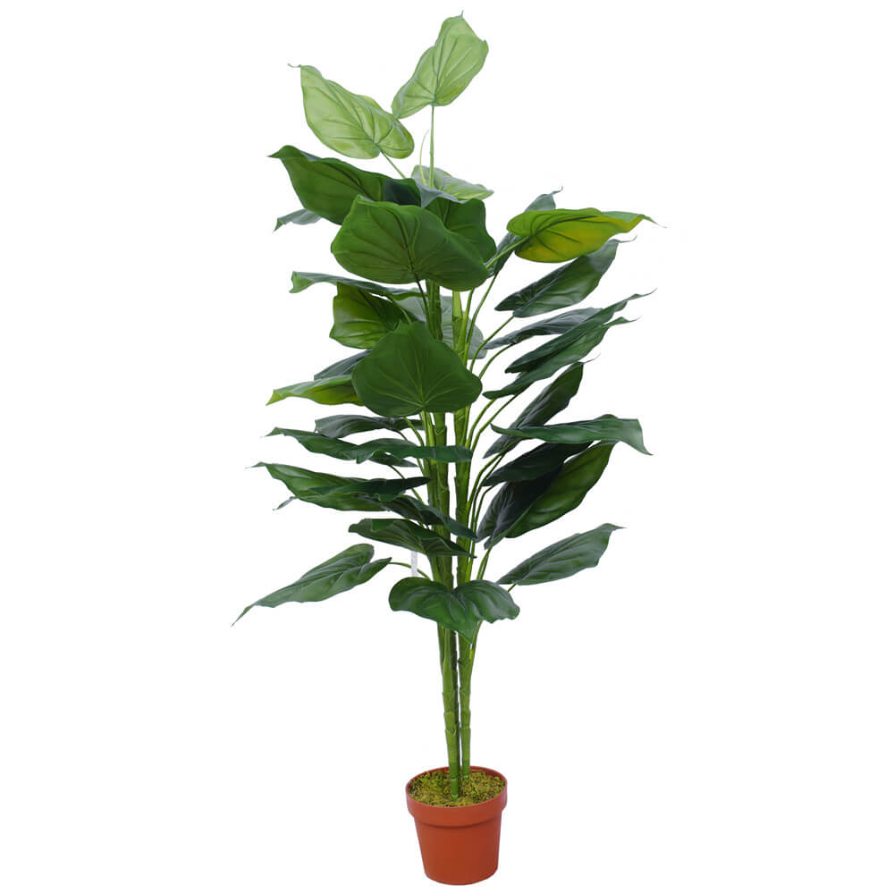 150cm artificial Taro plant with vibrant green leaves in a standard plastic pot, showcasing realistic foliage for home or office decor.