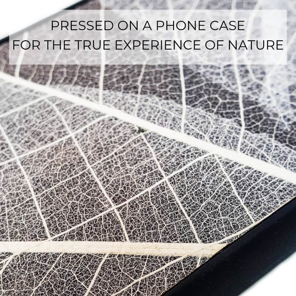 The Seven Chakra Symbols phone case featuring organic skeleton leaves, showcasing intricate leaf veins and chakra designs.