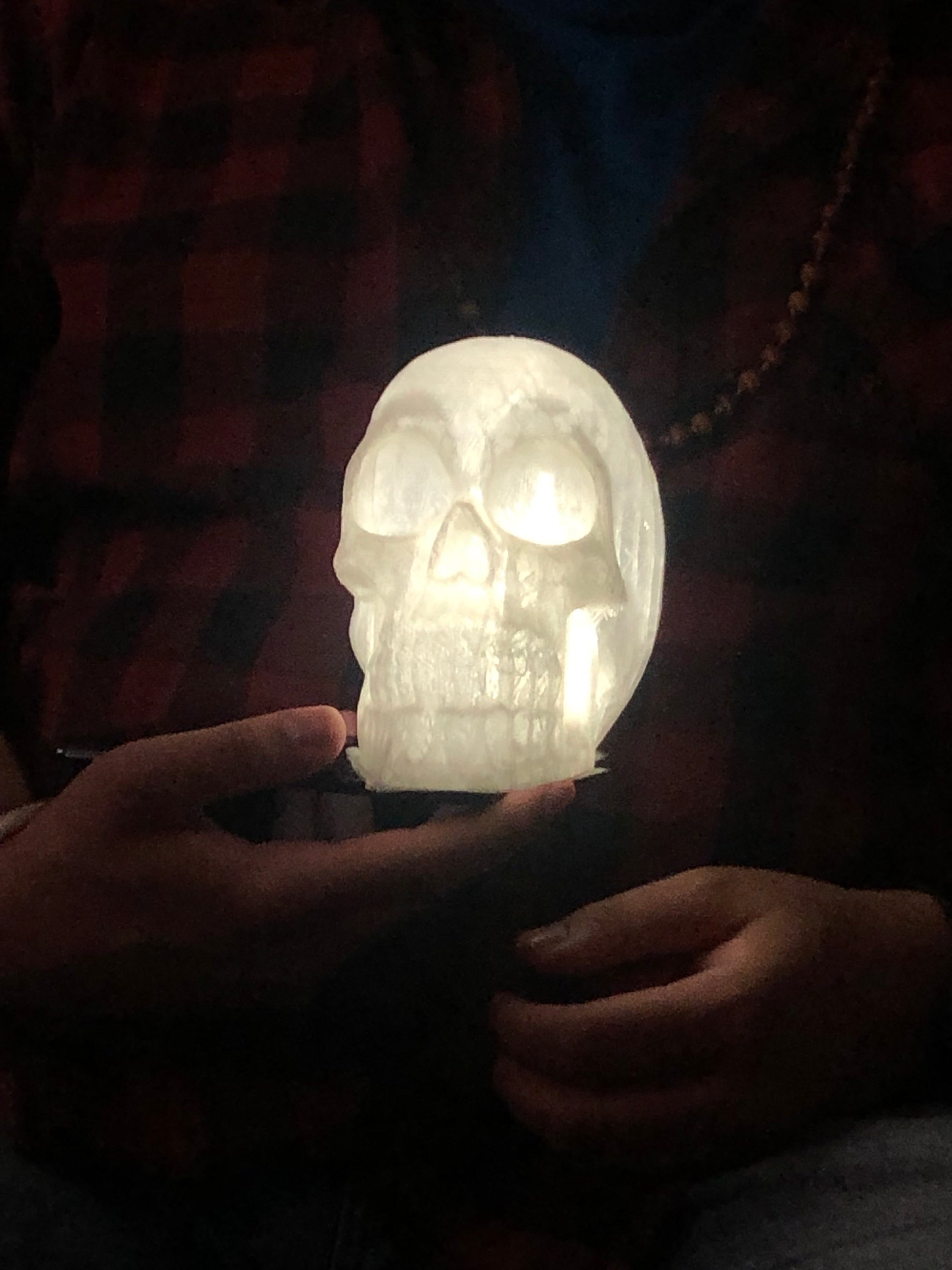 A transparent skull decoration, 16cm tall, showcasing intricate details and allowing light to pass through.