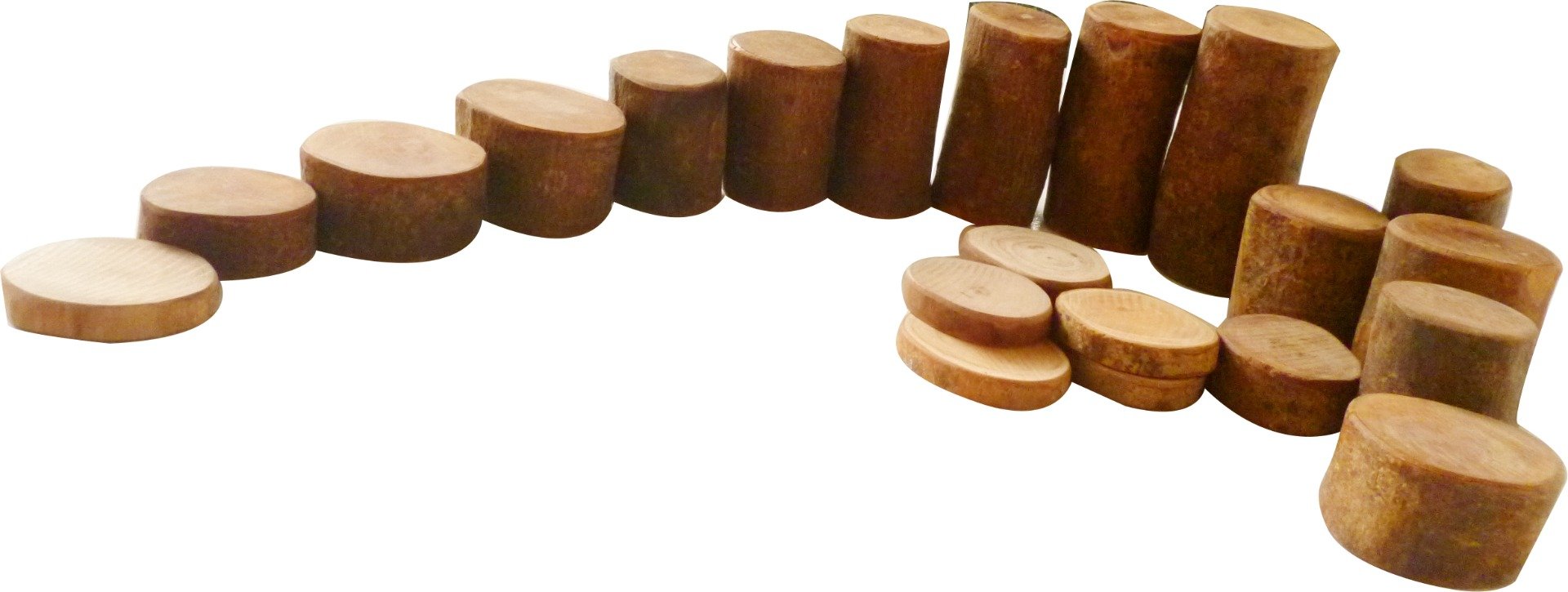 A colorful set of 70 wooden tree blocks in various sizes, perfect for counting and math activities, displayed in a cotton bag.