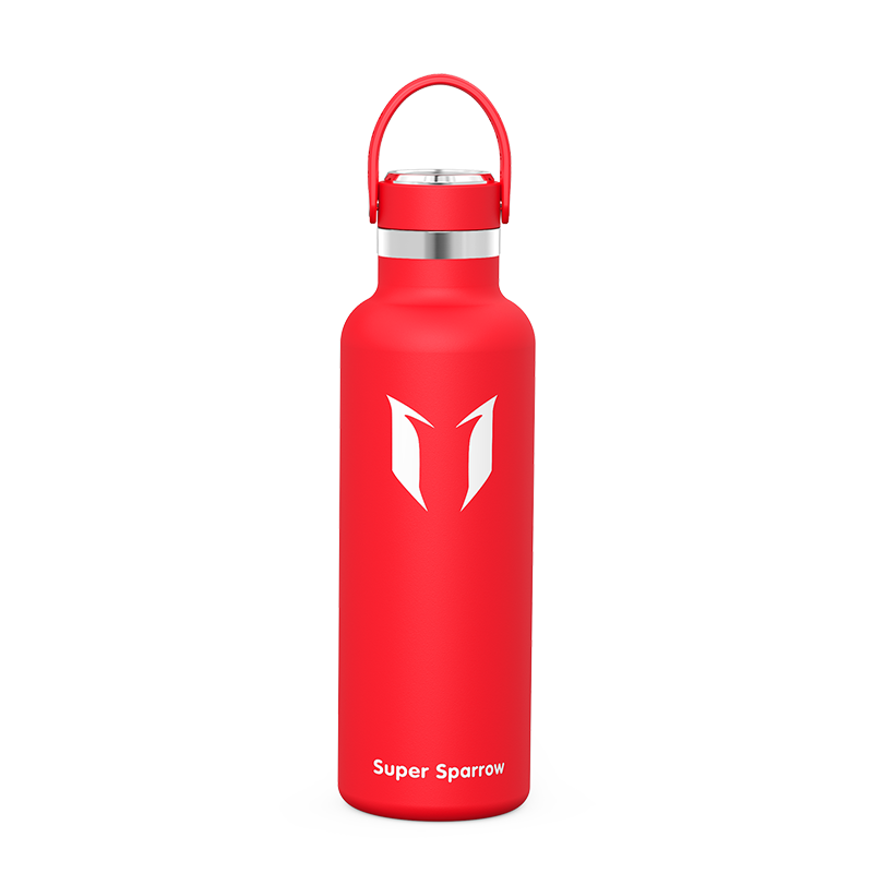 Ultra-Light Stainless Steel Water Bottle, 25OZ / 750ML, featuring a sleek design and durable construction for optimal hydration.