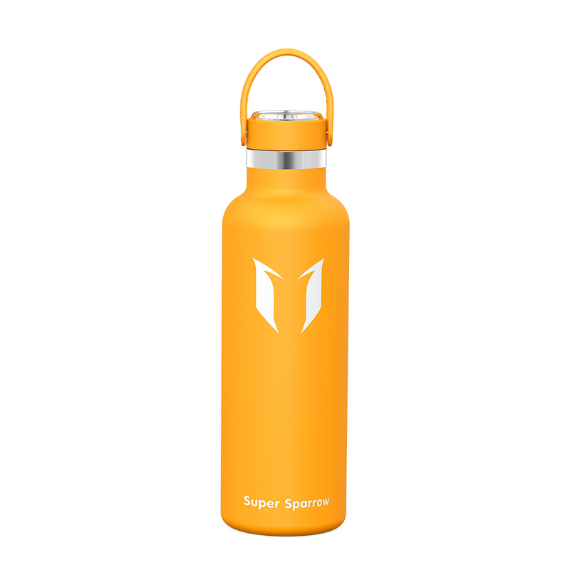 Ultra-Light Stainless Steel Water Bottle, 25OZ / 750ML, featuring a sleek design and durable construction for optimal hydration.