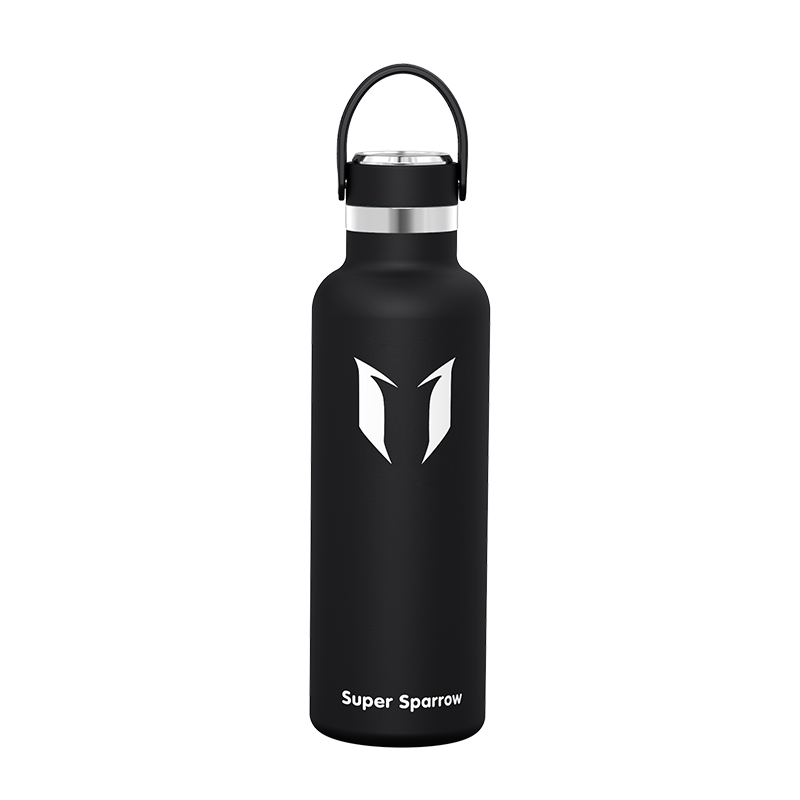 Ultra-Light Stainless Steel Water Bottle, 25OZ / 750ML, featuring a sleek design and durable construction for optimal hydration.