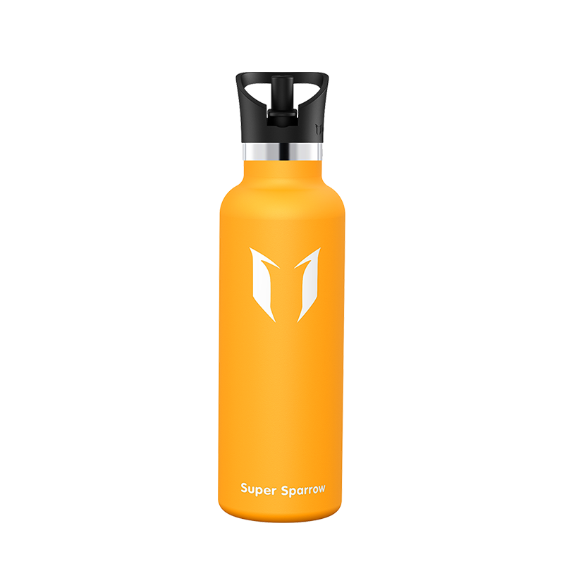 Ultra-Light Stainless Steel Water Bottle with Straw Lid, 25OZ capacity, showcasing a sleek design and durable construction.