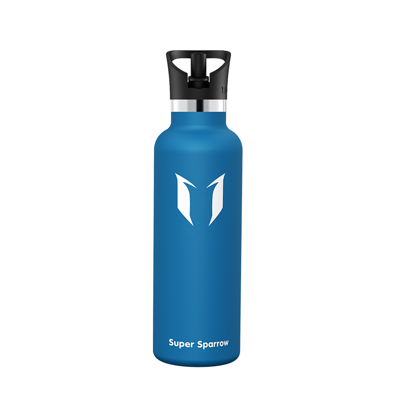 Ultra-Light Stainless Steel Water Bottle with Straw Lid, 25OZ capacity, showcasing a sleek design and durable construction.