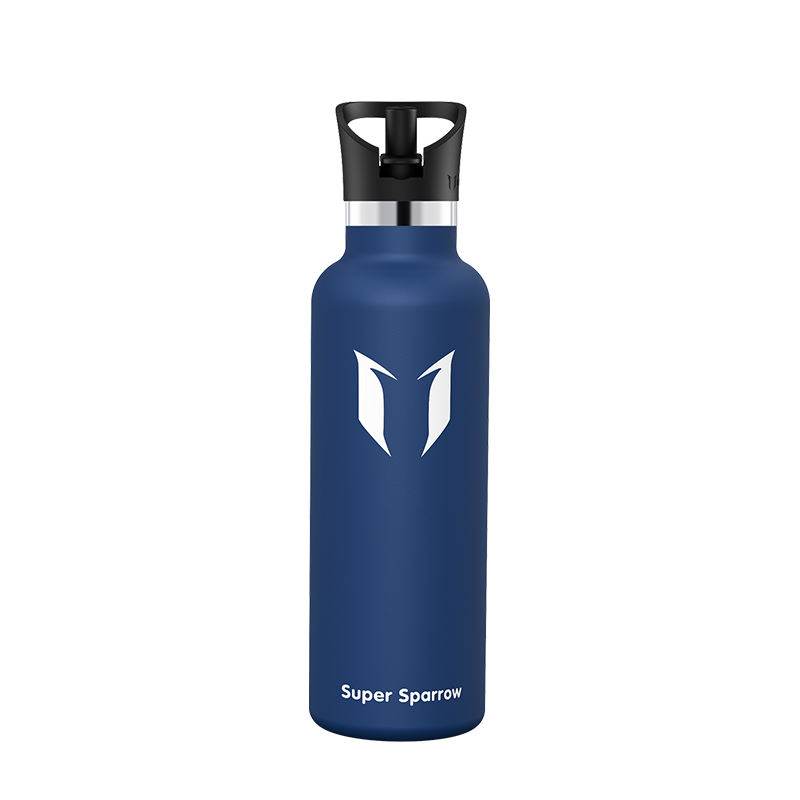 Ultra-Light Stainless Steel Water Bottle with Straw Lid, 25OZ capacity, showcasing a sleek design and durable construction.