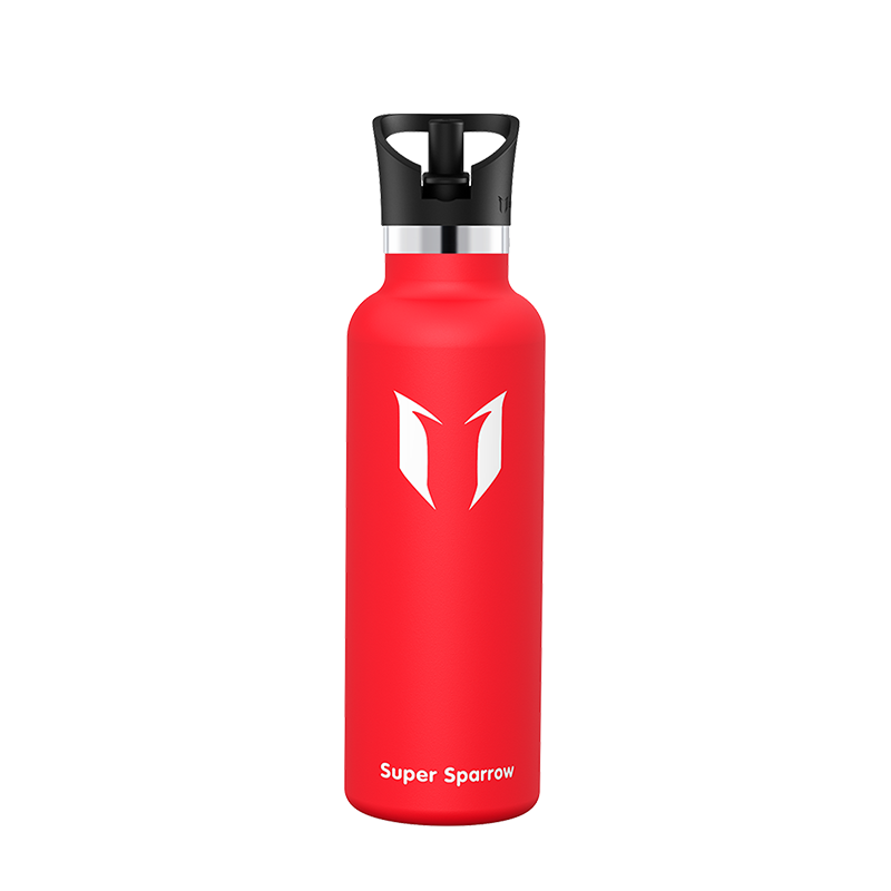 Ultra-Light Stainless Steel Water Bottle with Straw Lid, 25OZ capacity, showcasing a sleek design and durable construction.