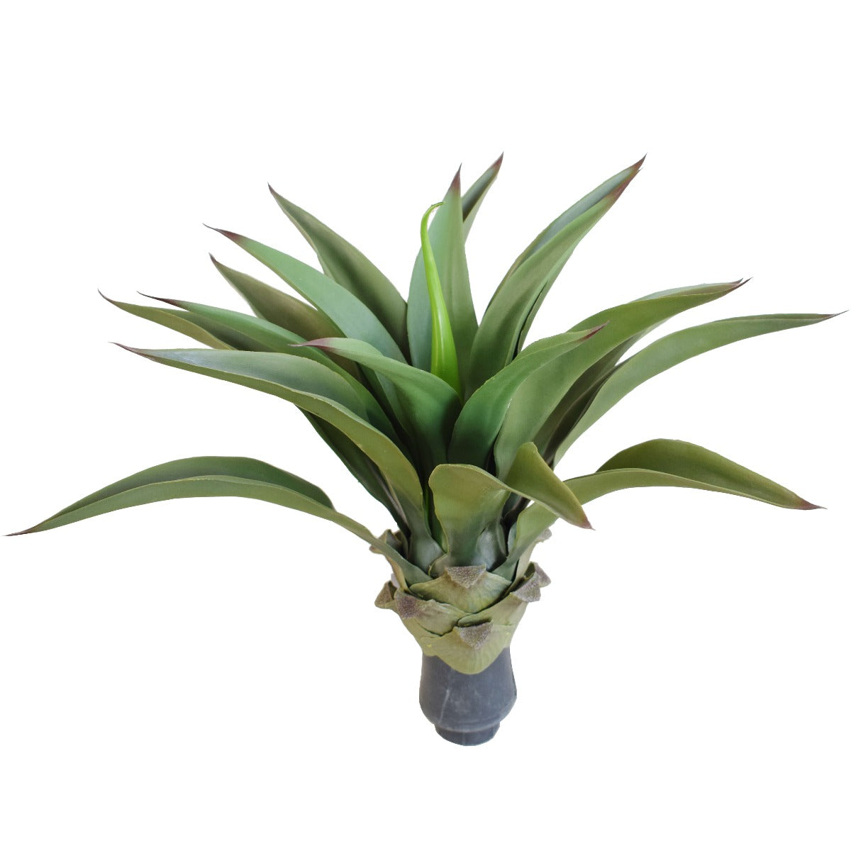 A realistic 50cm UV Agave plant without a pot, showcasing vibrant green leaves and a sturdy stem, perfect for outdoor and indoor decor.