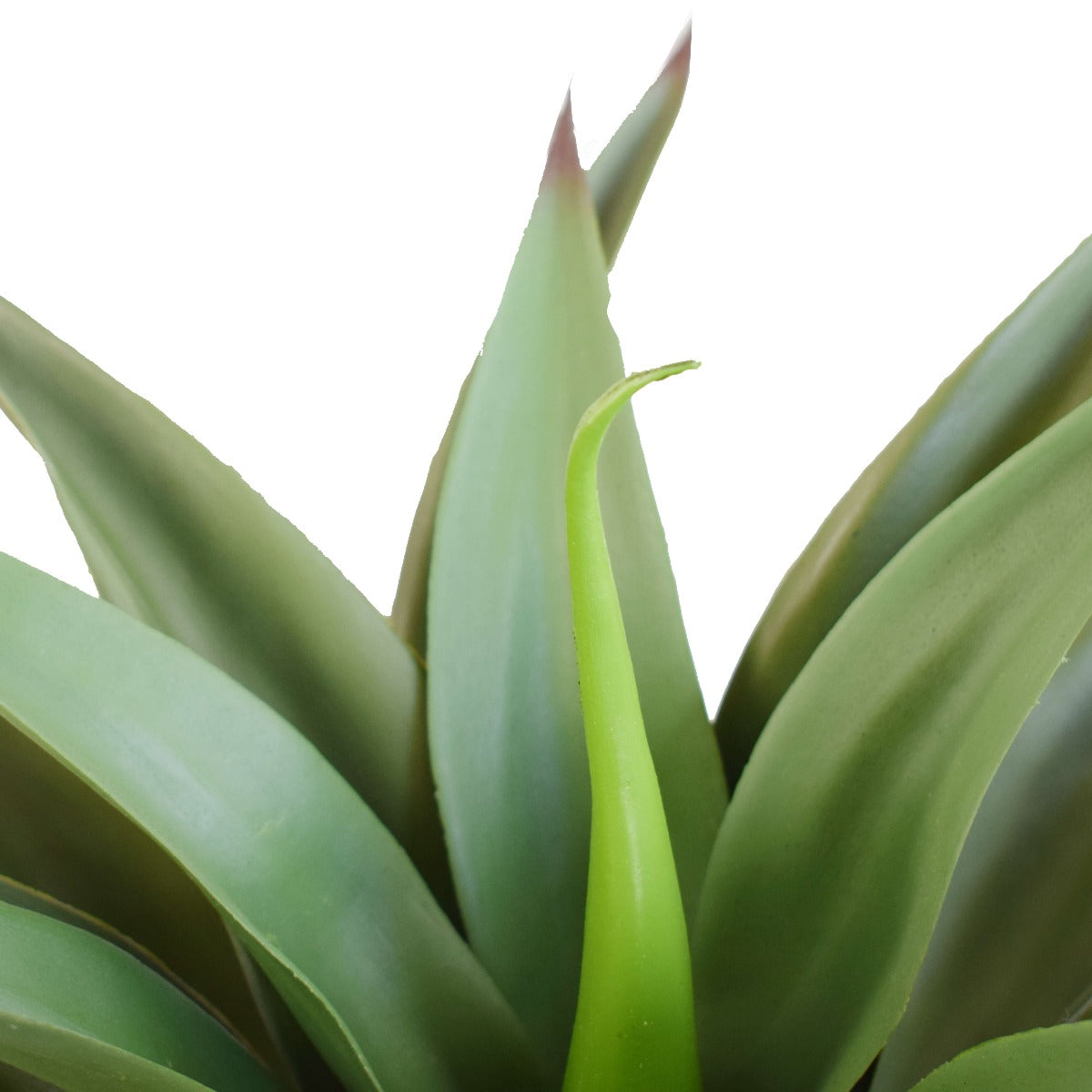 A realistic 50cm UV Agave plant without a pot, showcasing vibrant green leaves and a sturdy stem, perfect for outdoor and indoor decor.