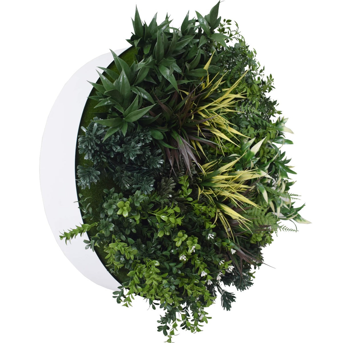 A vibrant 60cm UV Green Fields Green Wall Disc featuring lush artificial foliage and a painted metal border, perfect for indoor or outdoor decor.