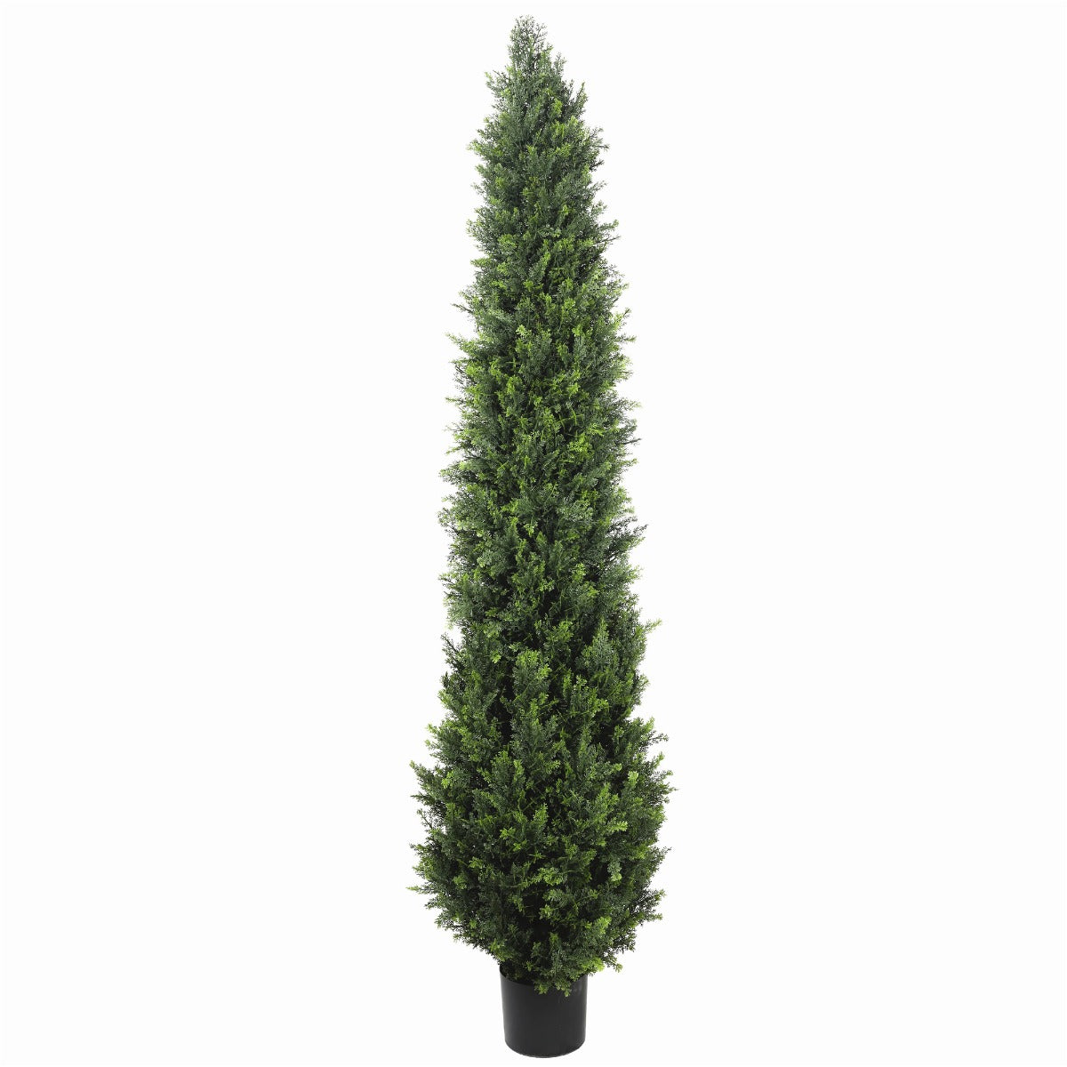 A tall 2.1m UV resistant artificial cypress pine tree with over 3100 realistic leaves in a standard black pot, showcasing a vibrant two-tone green color.