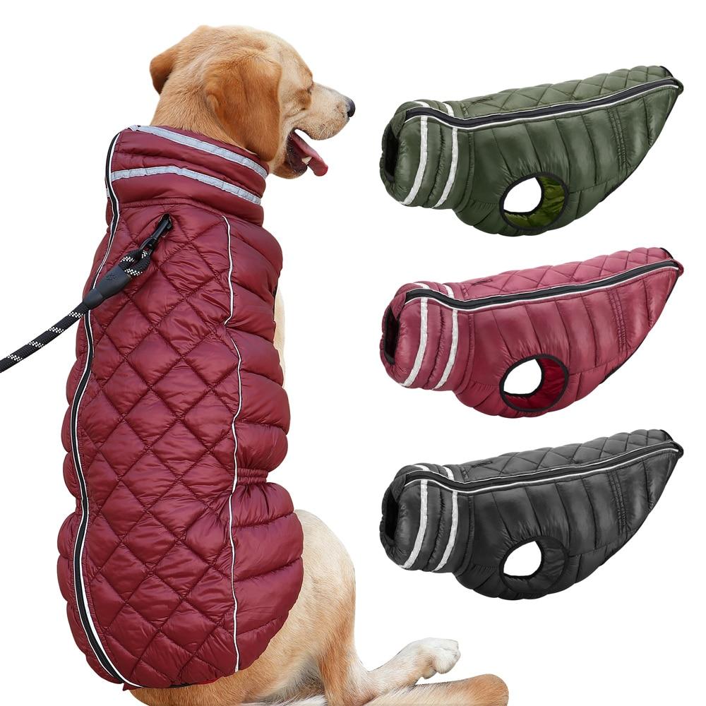 A large dog wearing a waterproof reflective jacket in green, showcasing its warm and stylish design, perfect for autumn and winter outdoor activities.