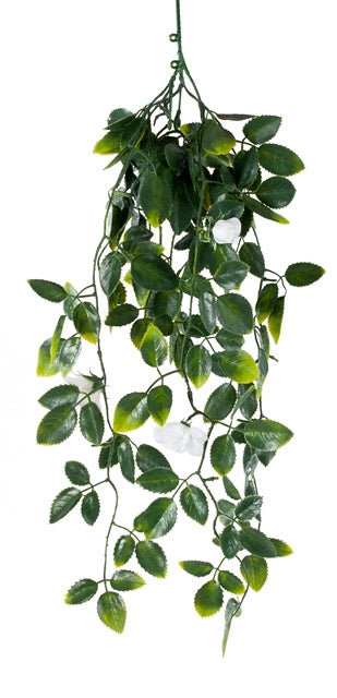 A 60cm long white mixed hanging foliage featuring vibrant green leaves and delicate flowers, ideal for indoor and outdoor decor.