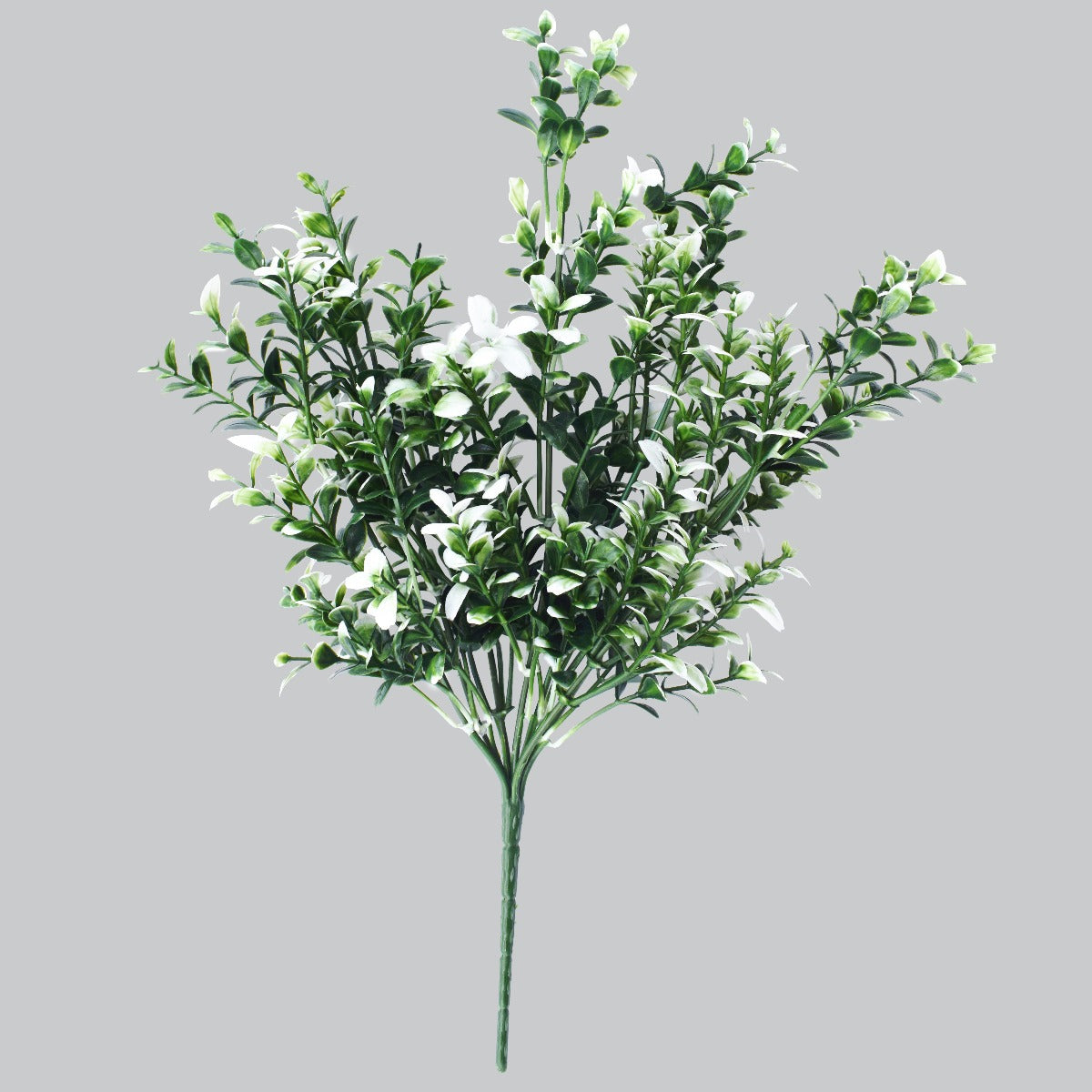 Artificial White Tipped Money Leaf Stem, 32 cm tall, featuring delicate white-tipped leaves and vibrant flowers, perfect for home decor.