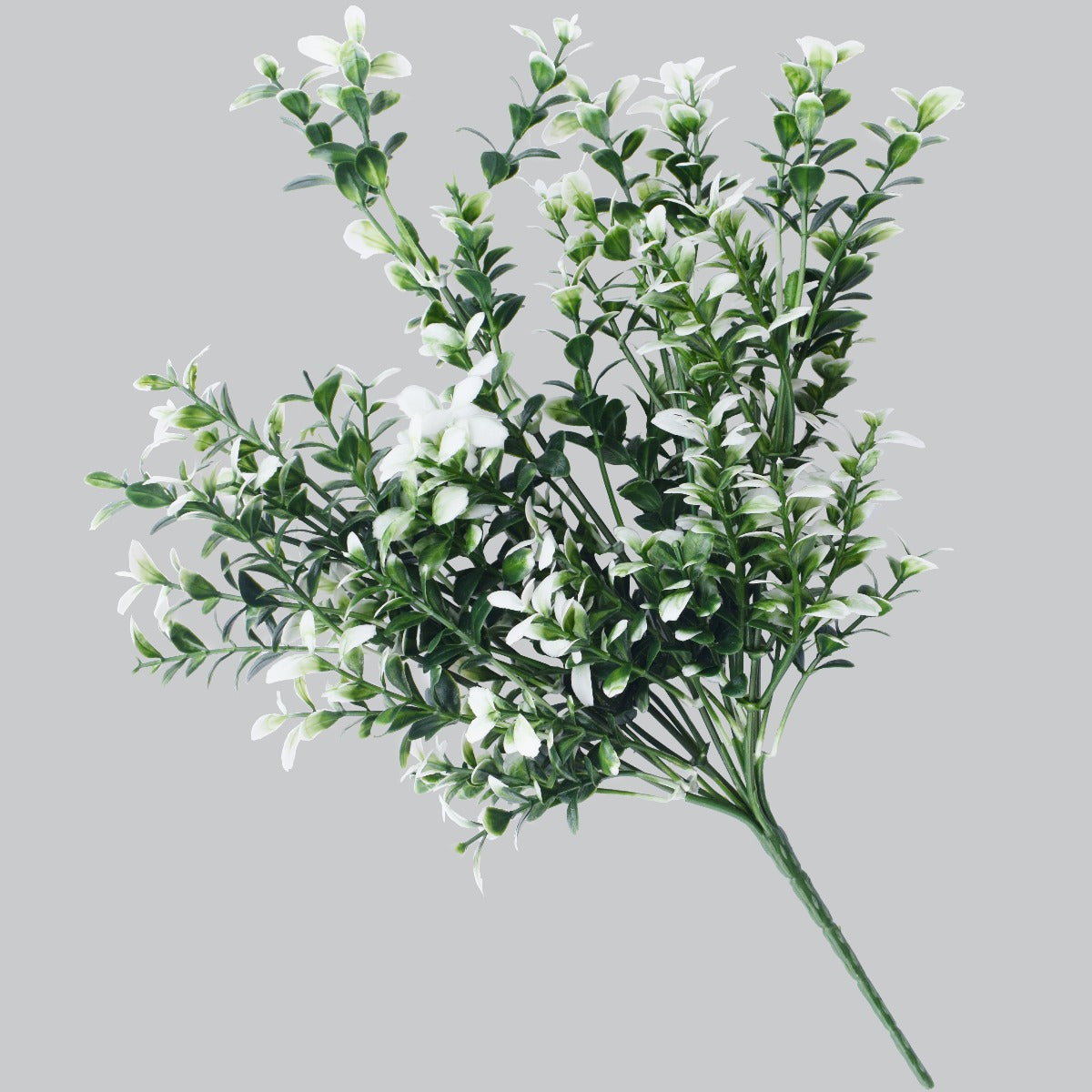 Artificial White Tipped Money Leaf Stem, 32 cm tall, featuring delicate white-tipped leaves and vibrant flowers, perfect for home decor.