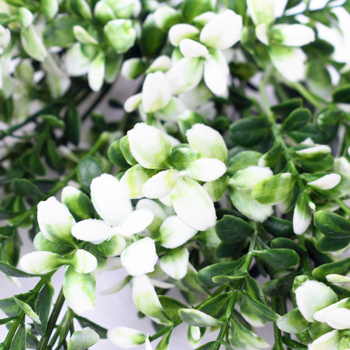 Artificial White Tipped Money Leaf Stem, 32 cm tall, featuring delicate white-tipped leaves and vibrant flowers, perfect for home decor.