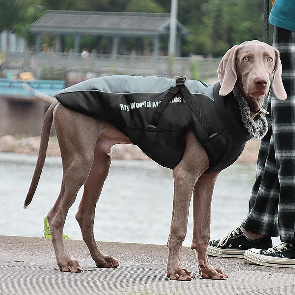 Reflective winter dog jacket in blue, gray, and pink, featuring a high collar and harness rope for large dogs.