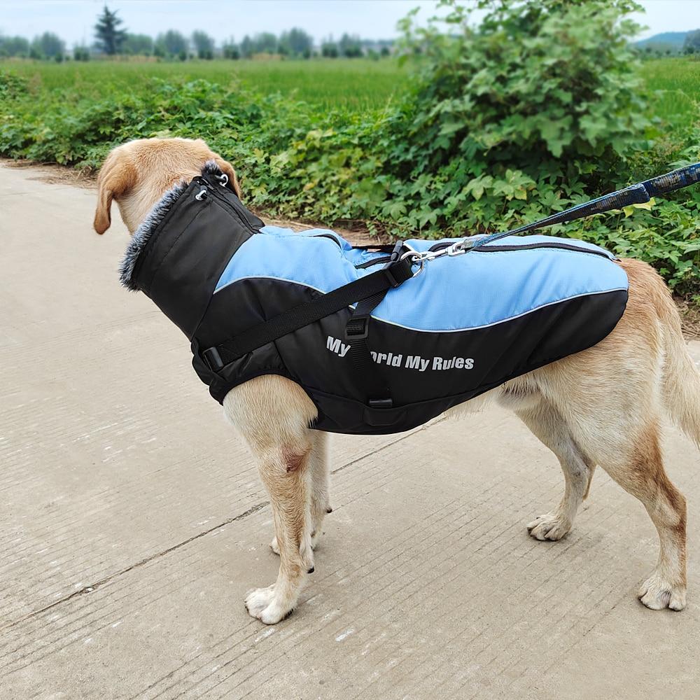 Reflective winter dog jacket in blue, gray, and pink, featuring a high collar and harness rope for large dogs.