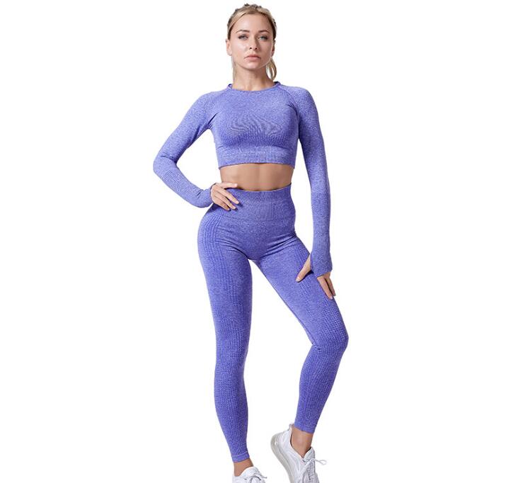 Women Vital Seamless Yoga Set featuring leggings and cropped shirt in a stylish design, made from high-quality nylon material for comfort and performance.