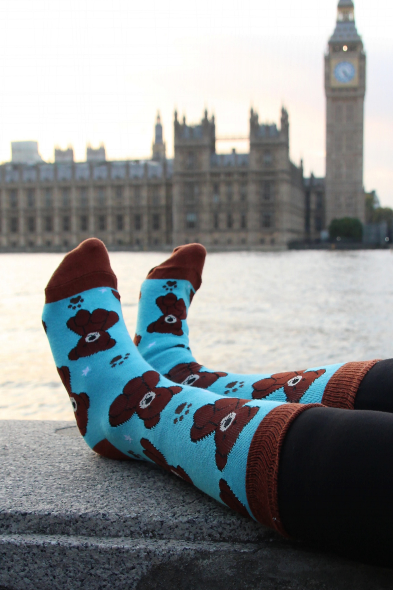 BEAR blue cotton socks featuring cute brown bears, perfect for men and women.