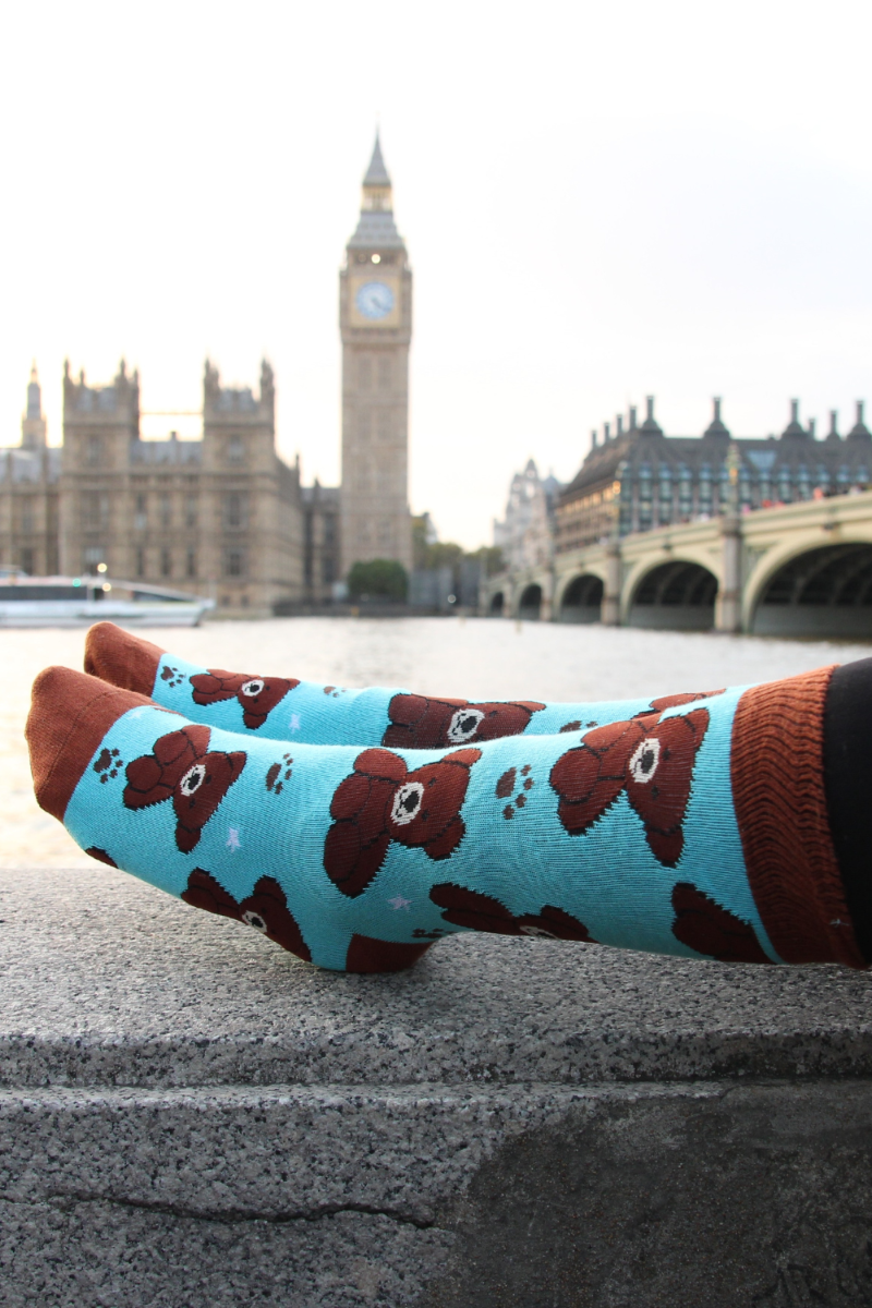 BEAR blue cotton socks featuring cute brown bears, perfect for men and women.