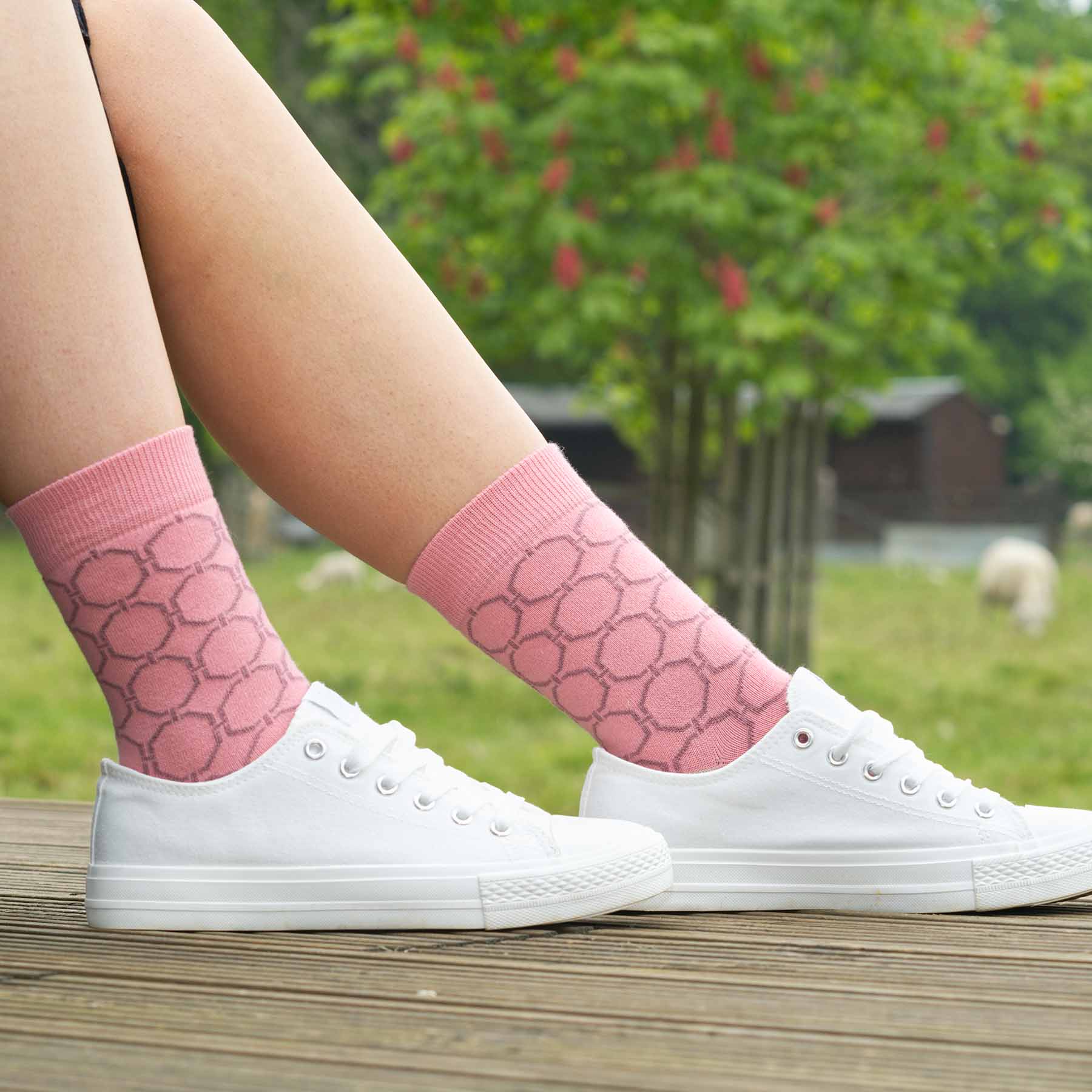 Pink Beehive Women's Socks featuring a unique beehive pattern in purple with cream heel and toe, made from luxurious Supima cotton.