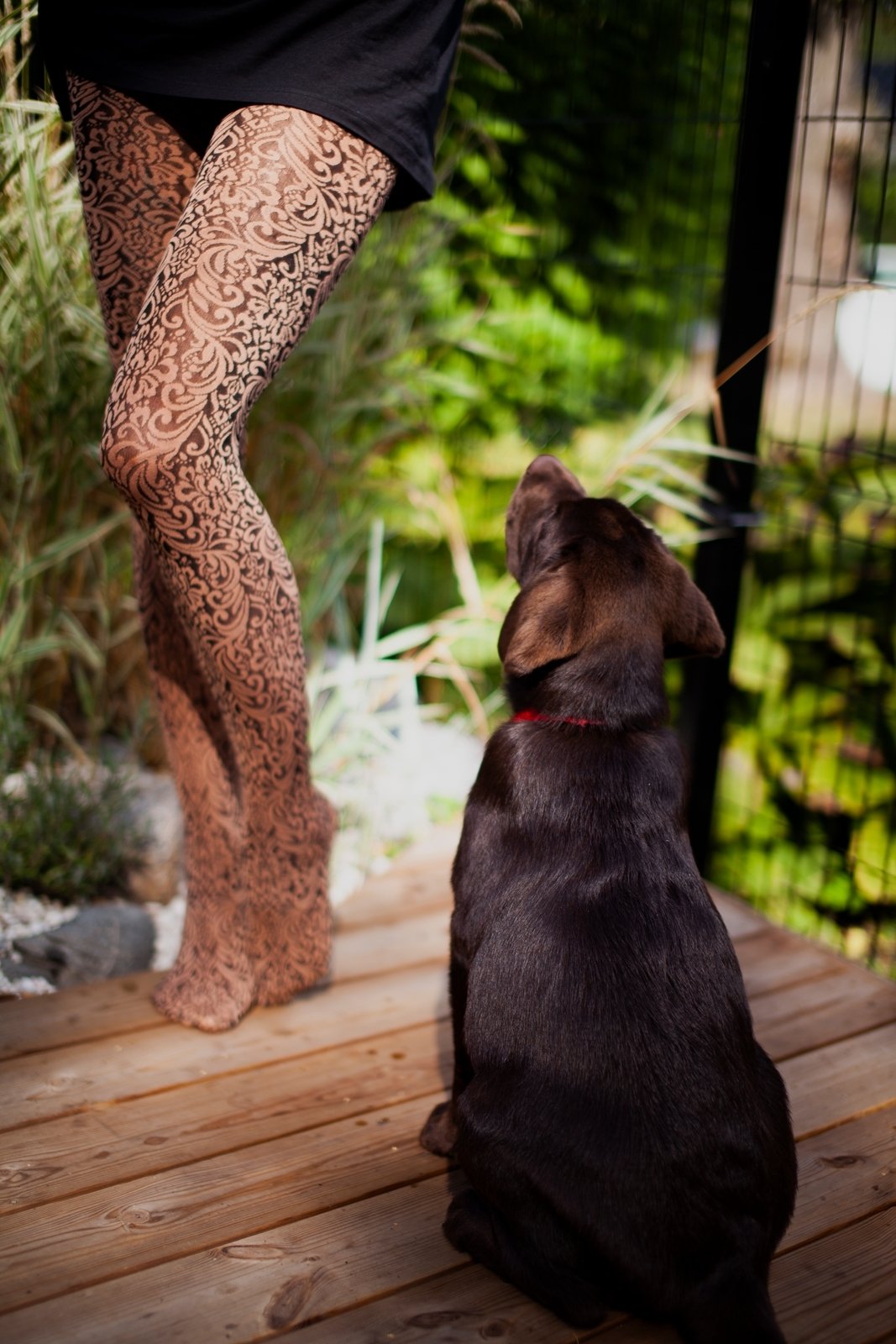 MARA 60DEN brown tights featuring an elegant ornament pattern, showcasing their soft texture and stylish design.