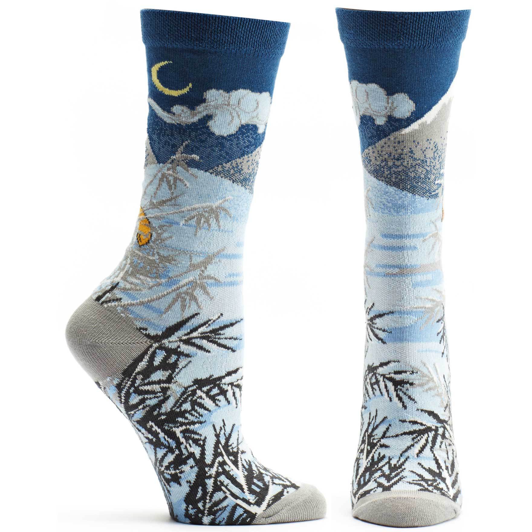 Socks with mountain night scene.