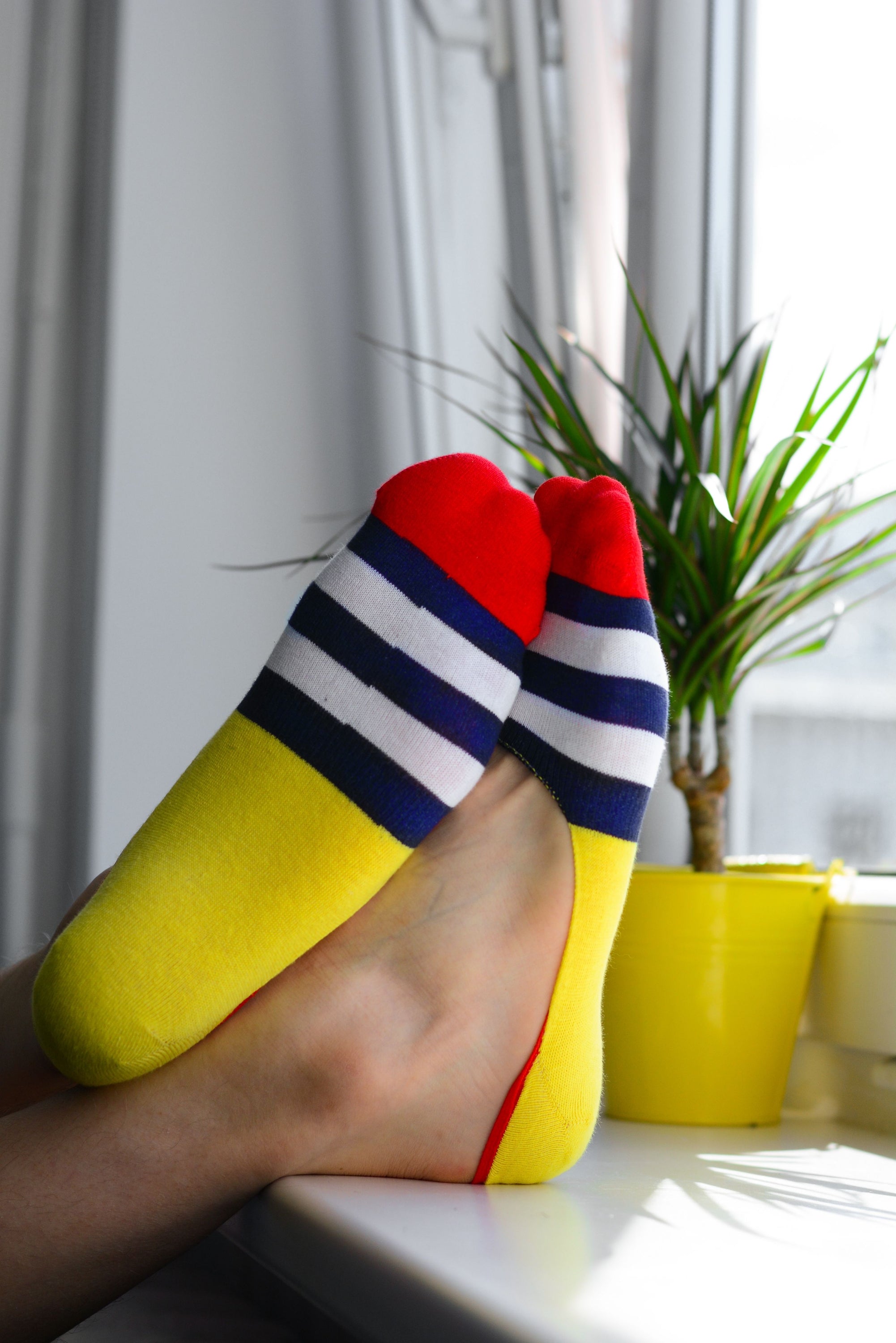 NEWTON yellow steps no-show sneaker socks for men and women, featuring a soft cotton blend and silicone heel for comfort.