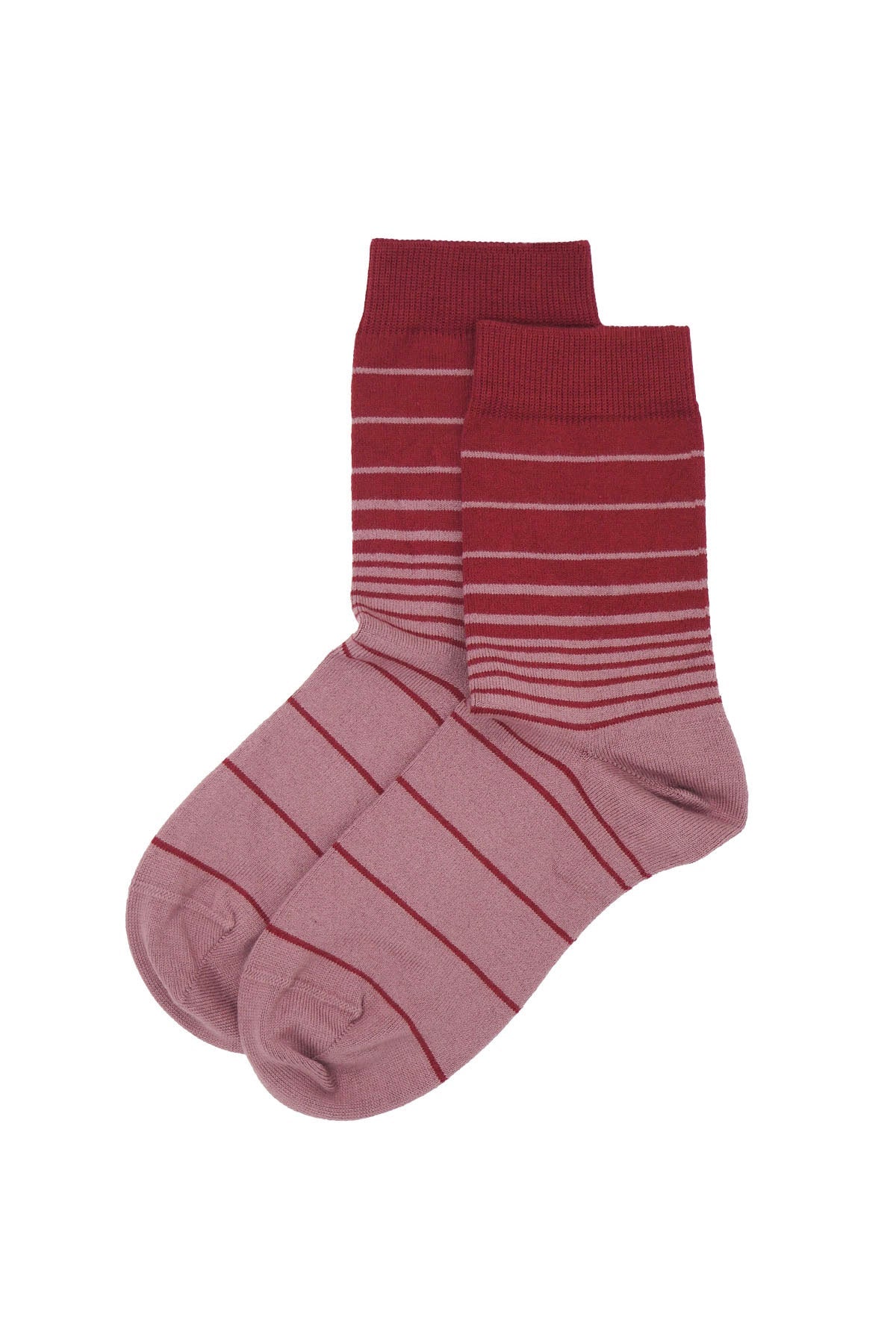 Retro Stripe Women's Socks in musk with red and musk stripes, showcasing luxurious Supima cotton and seamless toe design.