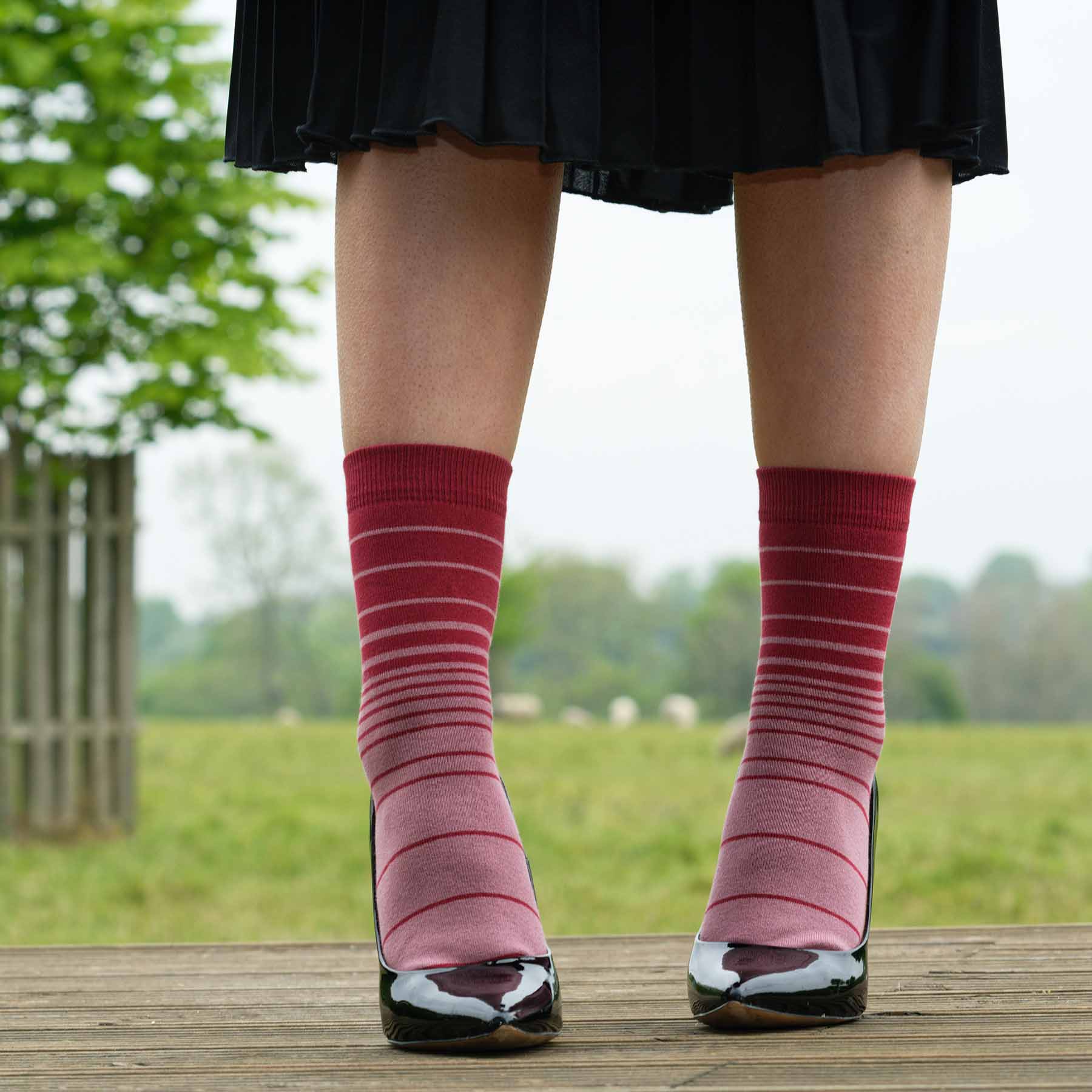 Retro Stripe Women's Socks in musk with red and musk stripes, showcasing luxurious Supima cotton and seamless toe design.