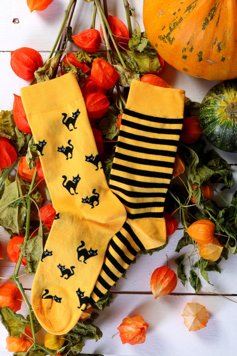 SCAREDY-CAT striped Halloween socks featuring a yellow cat design with black cats and stripes, perfect for festive occasions.