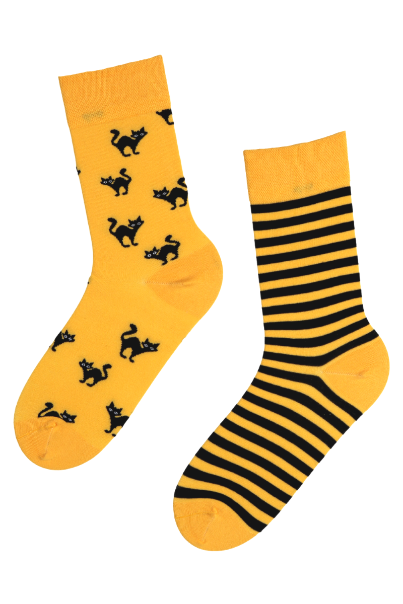 SCAREDY-CAT striped Halloween socks featuring a yellow cat design with black cats and stripes, perfect for festive occasions.