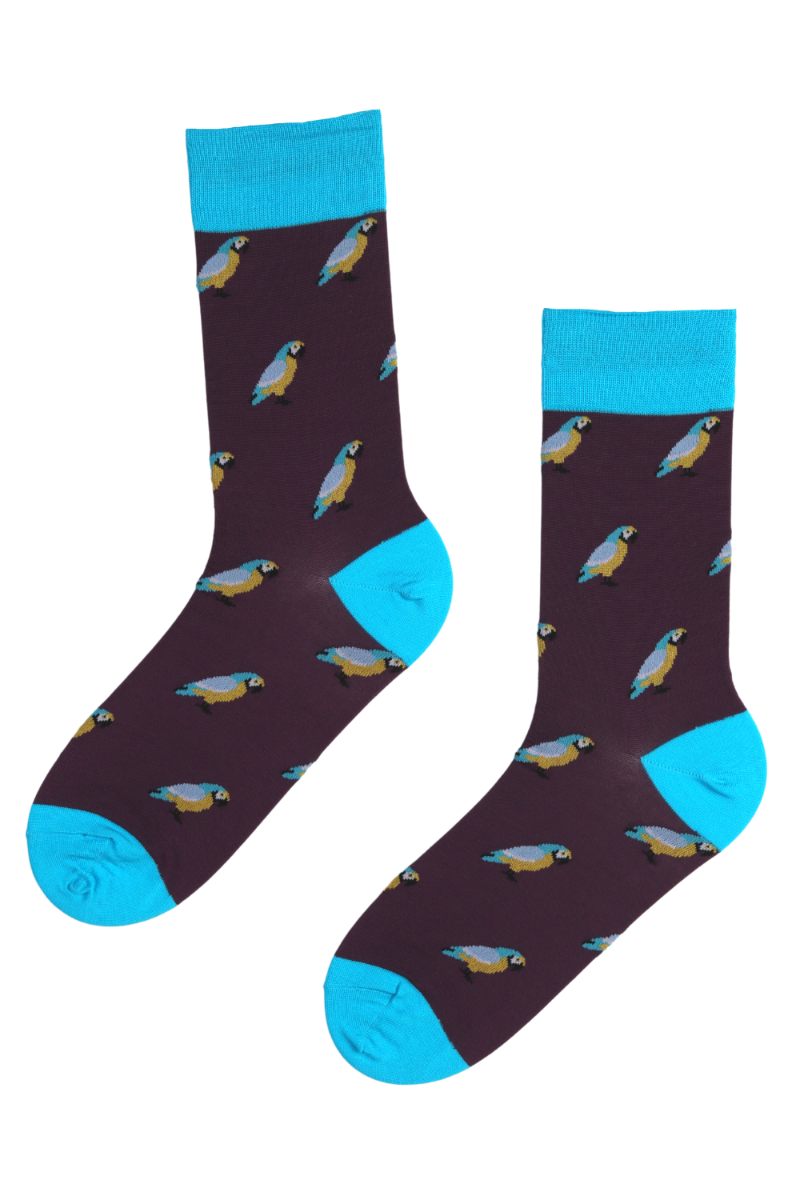 SUNDAY stylish suit socks featuring colorful parrots on a purple background with blue heel and lower leg.