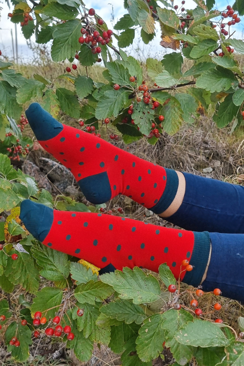 TAMPERE merino wool socks in vibrant red with dark green dots, showcasing their stylish design and high-quality material.