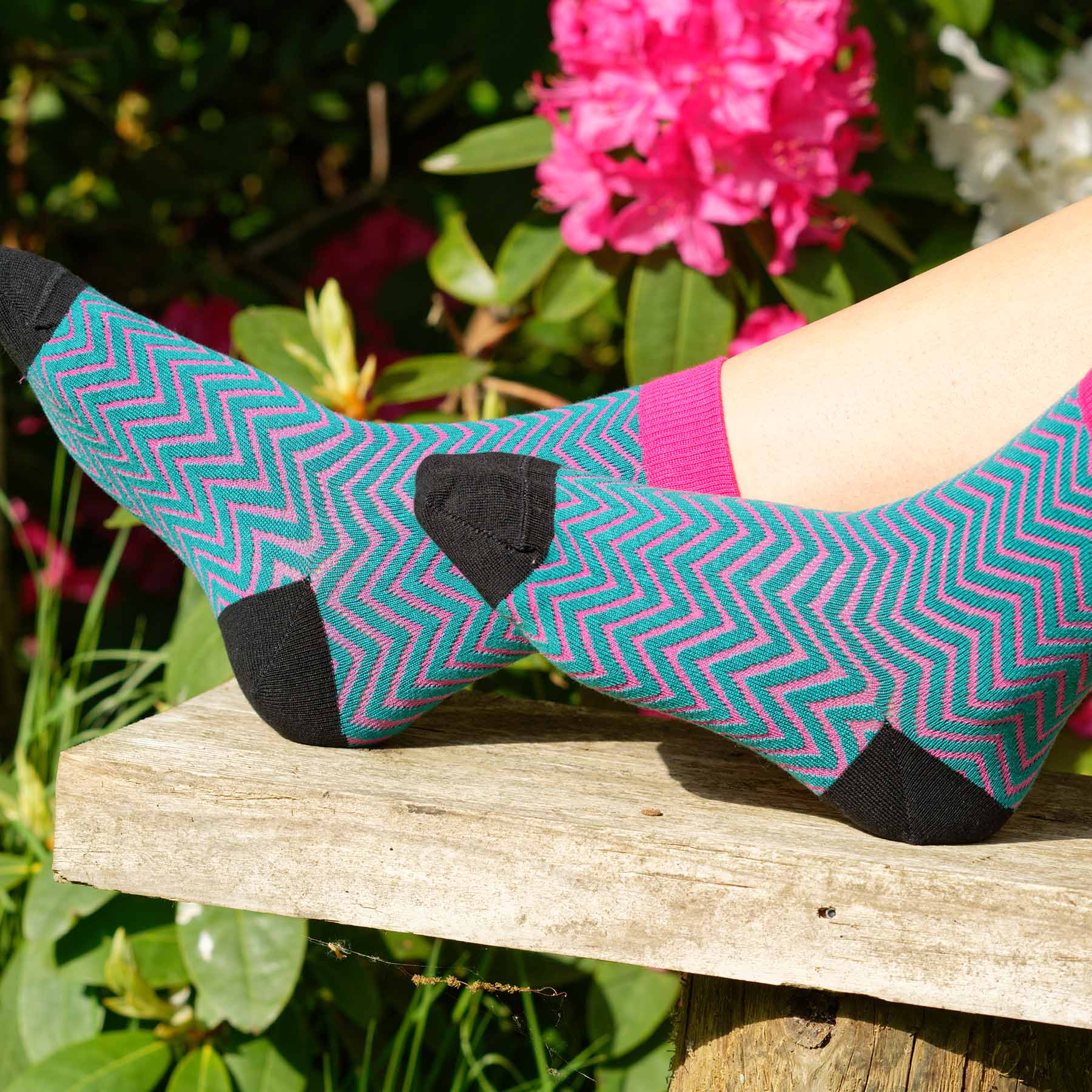 A pair of vibrant teal Zigzag women's socks featuring a stylish zigzag pattern in bright pink, made from luxurious Supima cotton.