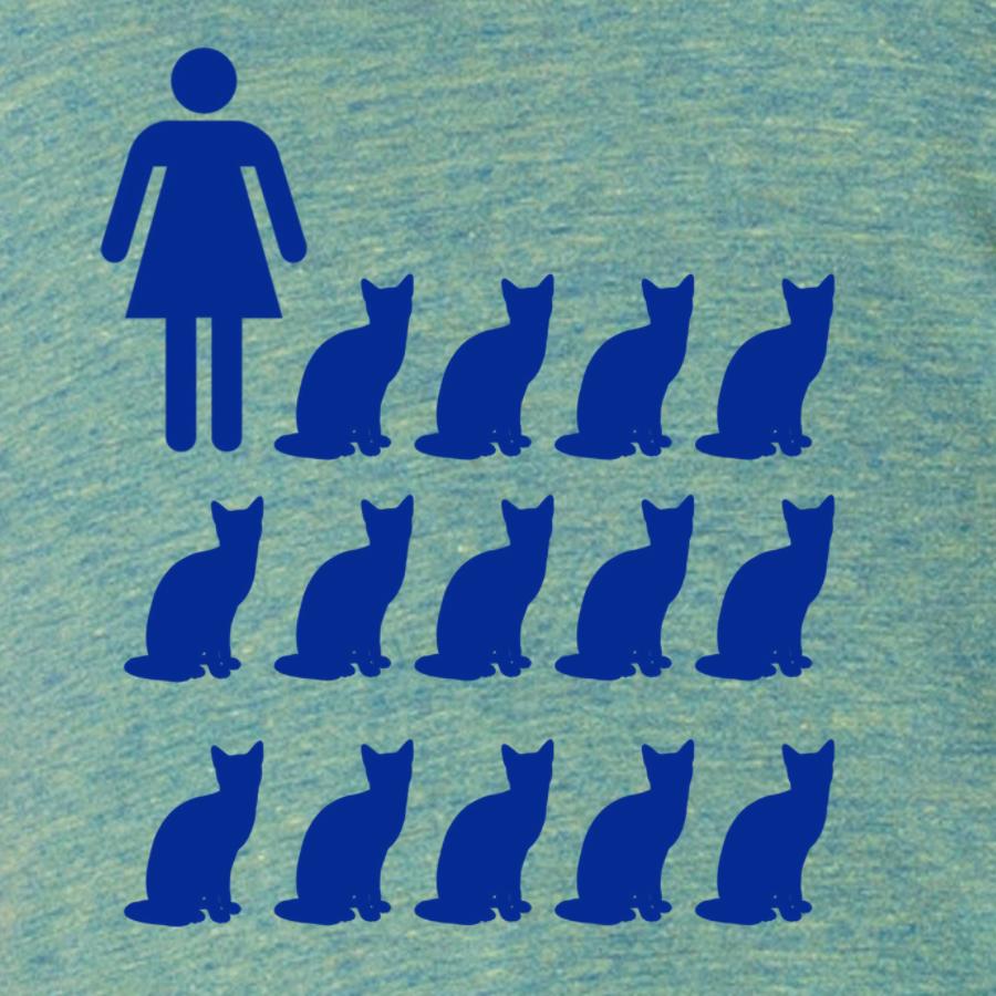 A soft, eco-friendly Crazy Cat Lady tee in vibrant colors, showcasing a playful cat-themed design.