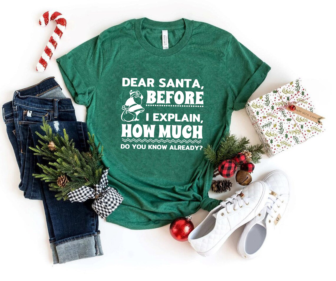 Unisex Dear Santa Before I Explain Shirt in various colors, showcasing its comfortable fit and high-quality print.