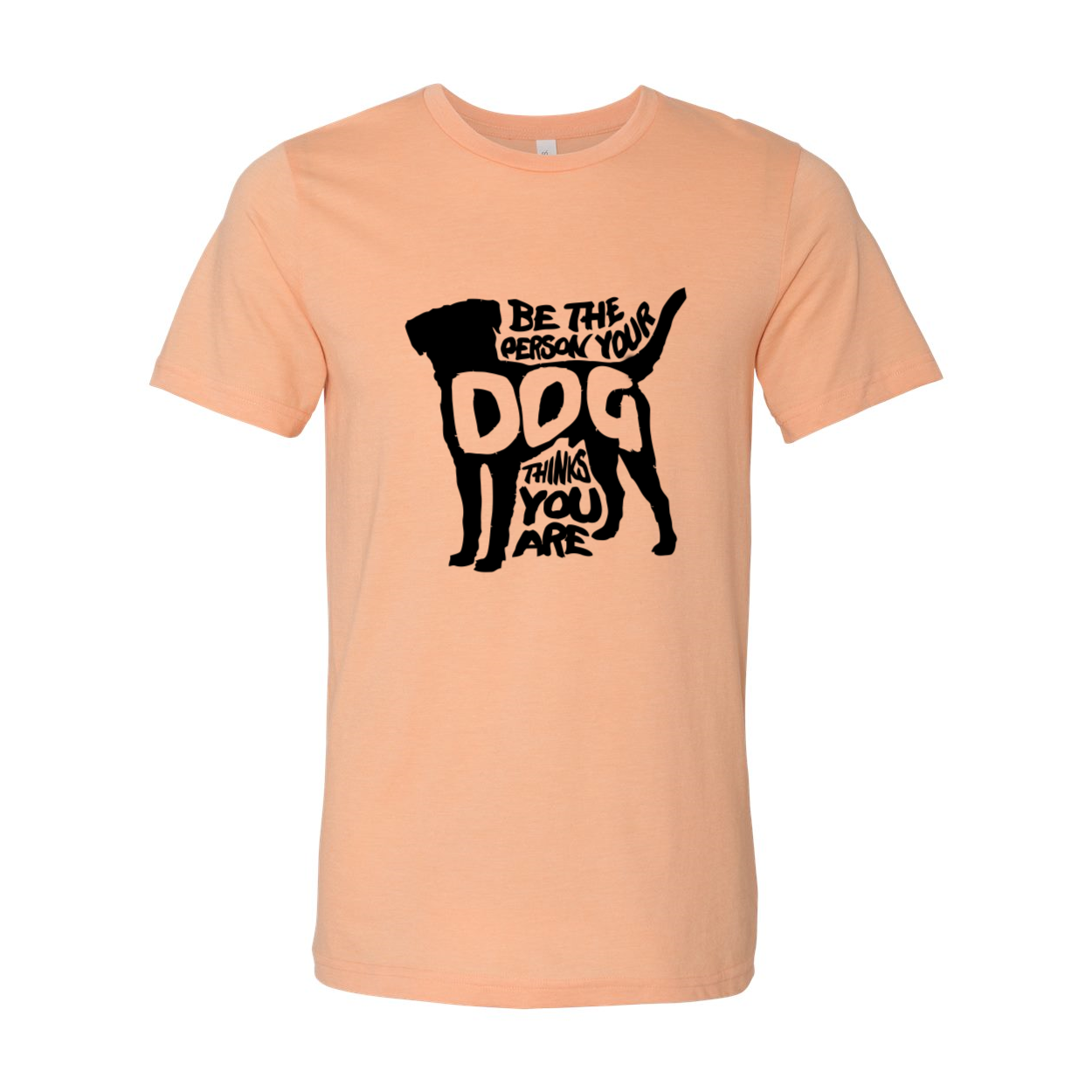 DT0521 Be The Person Your Dog Thinks You Are Shirt in various colors, showcasing its comfortable fit and high-quality print.