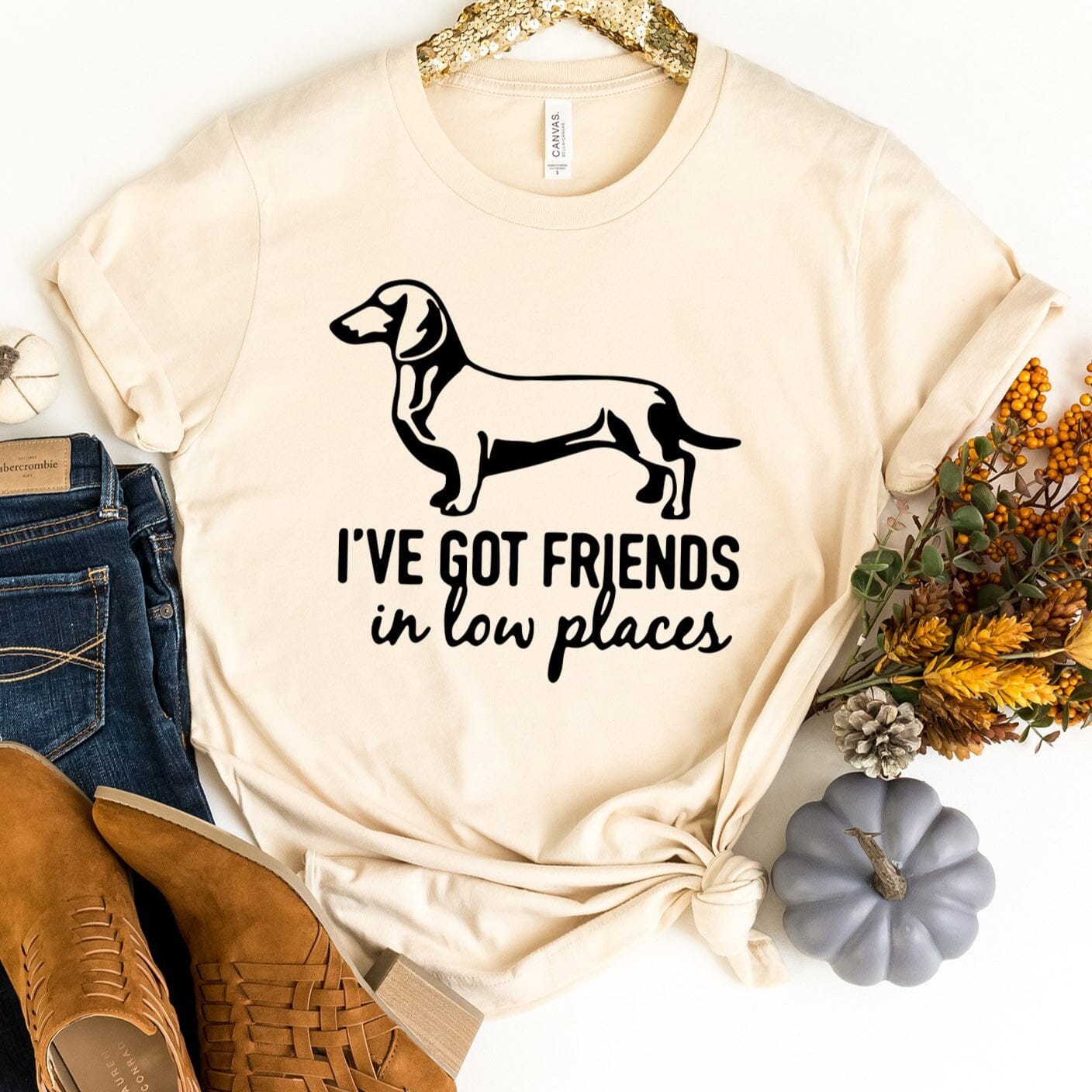 A stylish Dachshund T-shirt featuring the phrase 'I've Got Friends in Low Places', made from soft Ringspun Cotton.