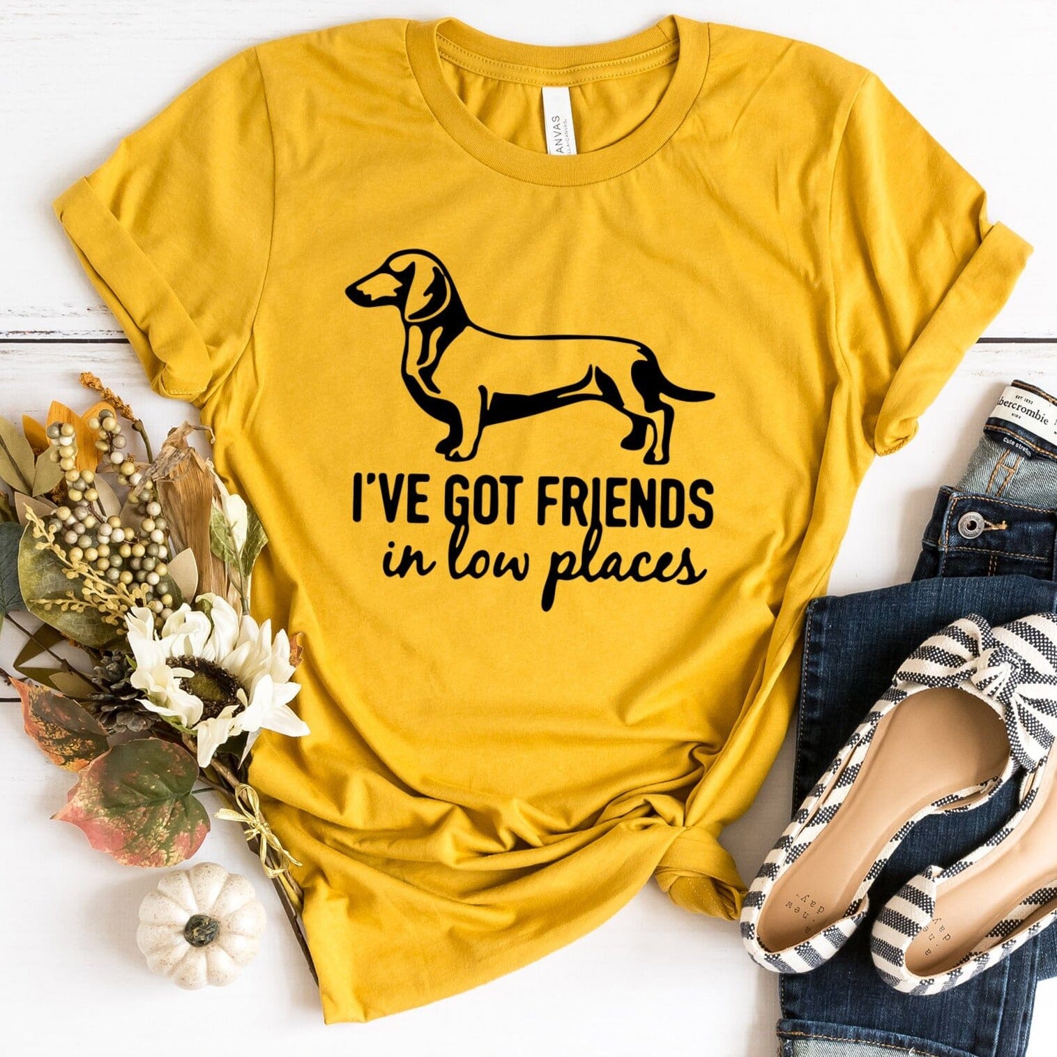 A stylish Dachshund T-shirt featuring the phrase 'I've Got Friends in Low Places', made from soft Ringspun Cotton.